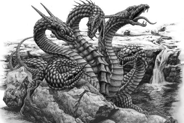 Сайт kraken в tor