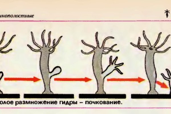Ссылка на кракен тор браузер