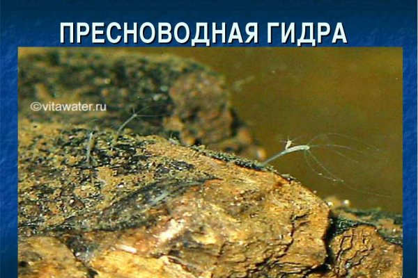 Что такое кракен площадка